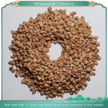 Polishing Abrasive Material, Good Walnut Shell for Sandblasting (XG-A-49-1)